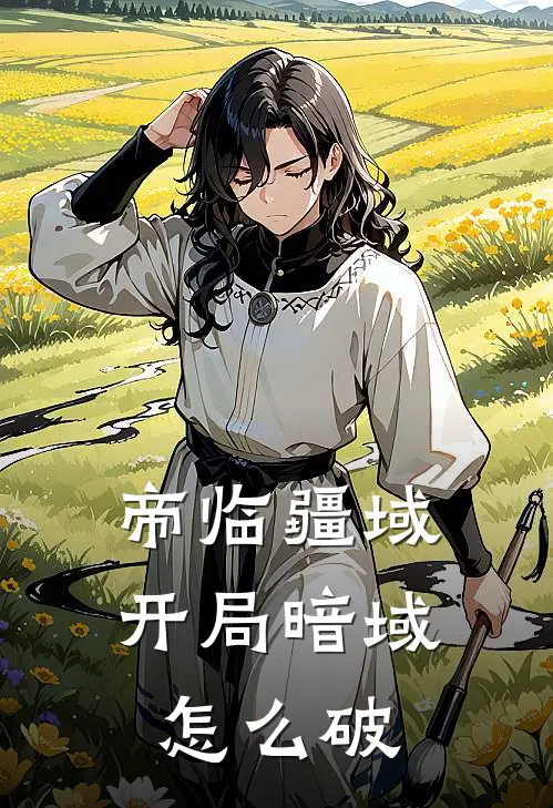 帝临疆域：开局暗域怎么破殿安殿安最新小说推荐_完结小说帝临疆域：开局暗域怎么破(殿安殿安)